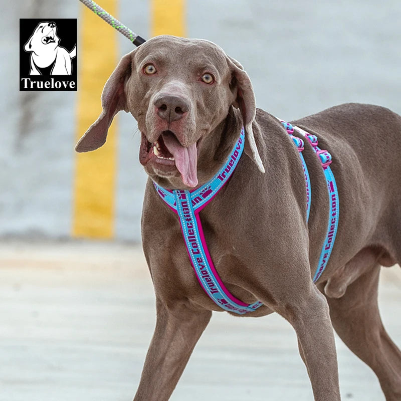 Truelove TLH6571 Double H Dog Harness