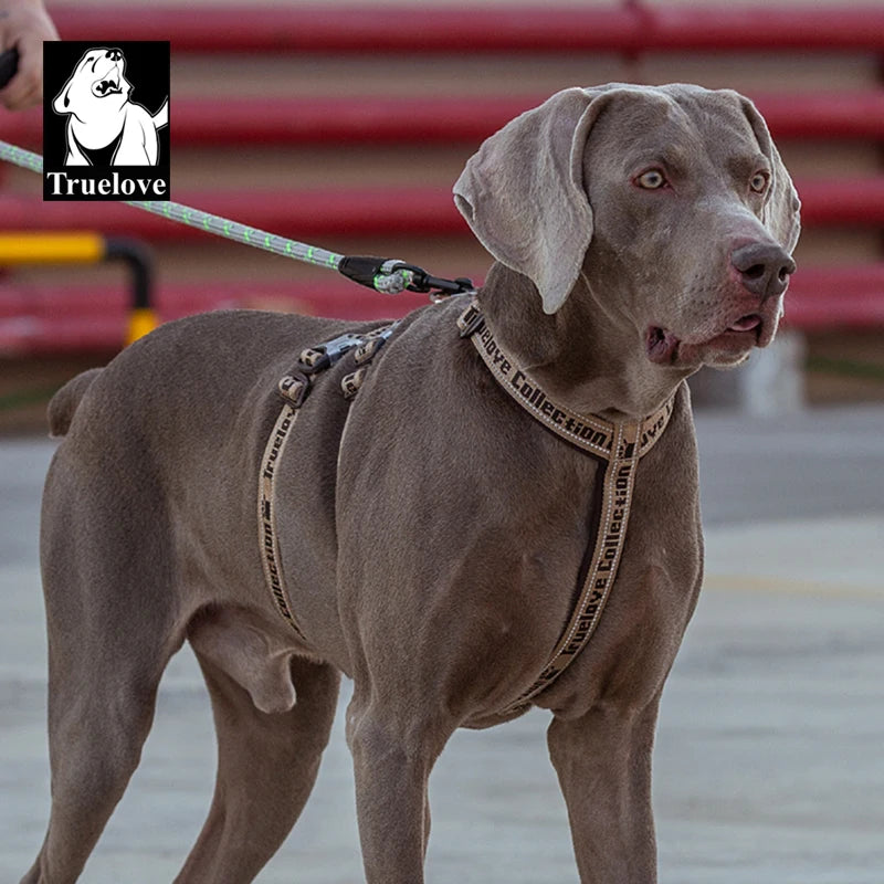 Truelove TLH6571 Double H Dog Harness