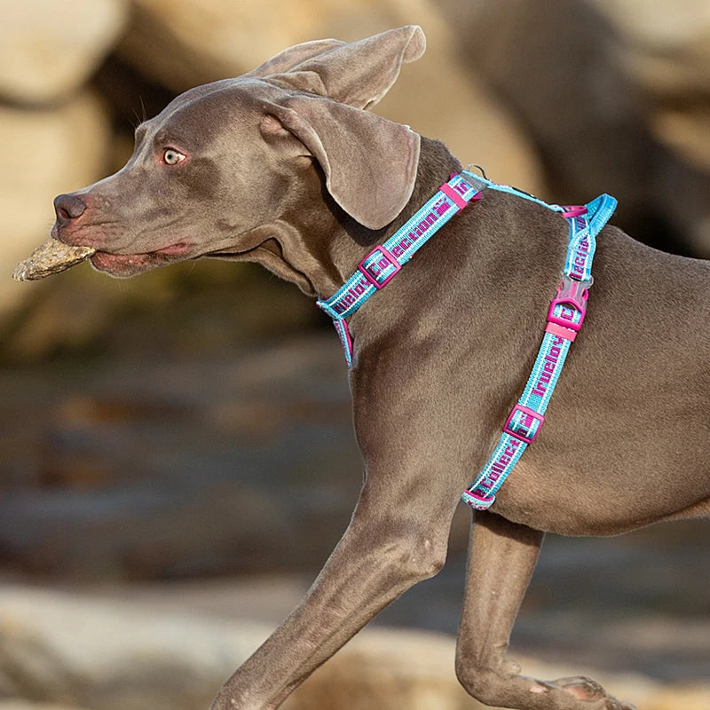 Truelove TLH6172 No Pull Tactical Dog Harness - Green