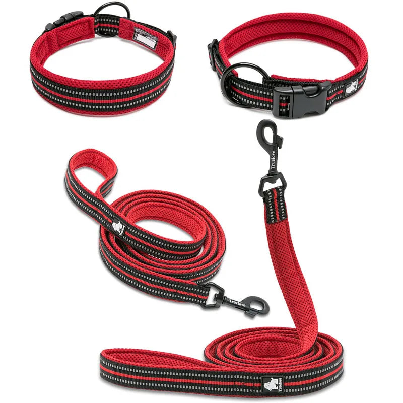 Truelove Mesh Nylon Dog Collar & Leash Set - Blue