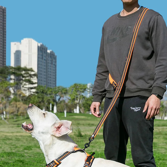 Truelove 7-in-1 Adjustable Hands-Free Dog Lead image 9
