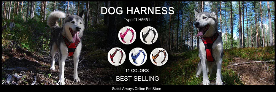 Truelove Mesh Nylon Dog Collar & Leash Set - Blue