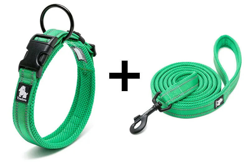 Truelove Mesh Nylon Dog Collar & Leash Set - Gray
