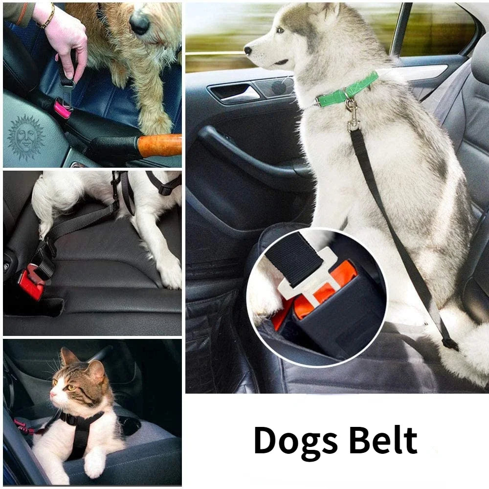 Adjustable Pet Car Seat Belt Safety Clip - Orange