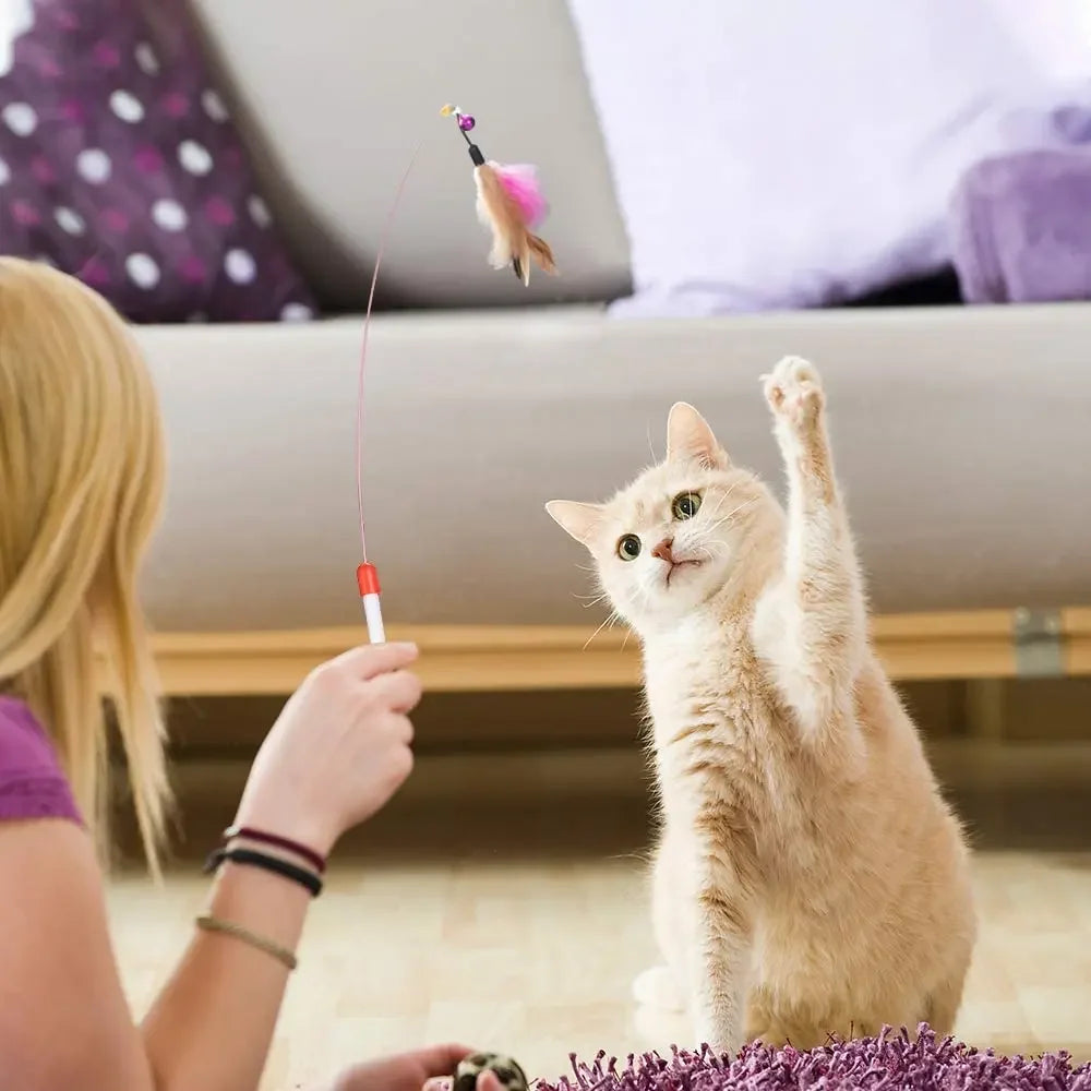Kitten Toy Variety Pack - Cat Combo Set image 6