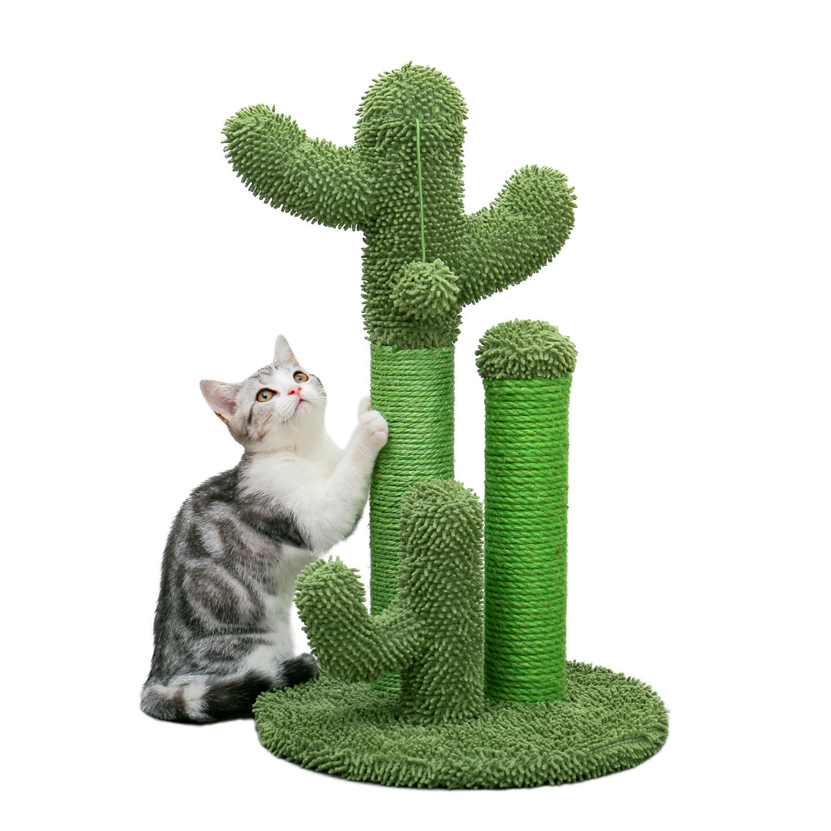 Cactus Cat Scratching Post for Indoor Cats image 19