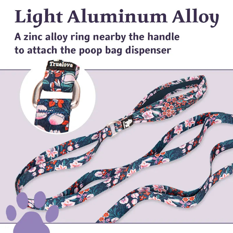 Truelove Nylon Double Handle Padded Dog Leash - Blue