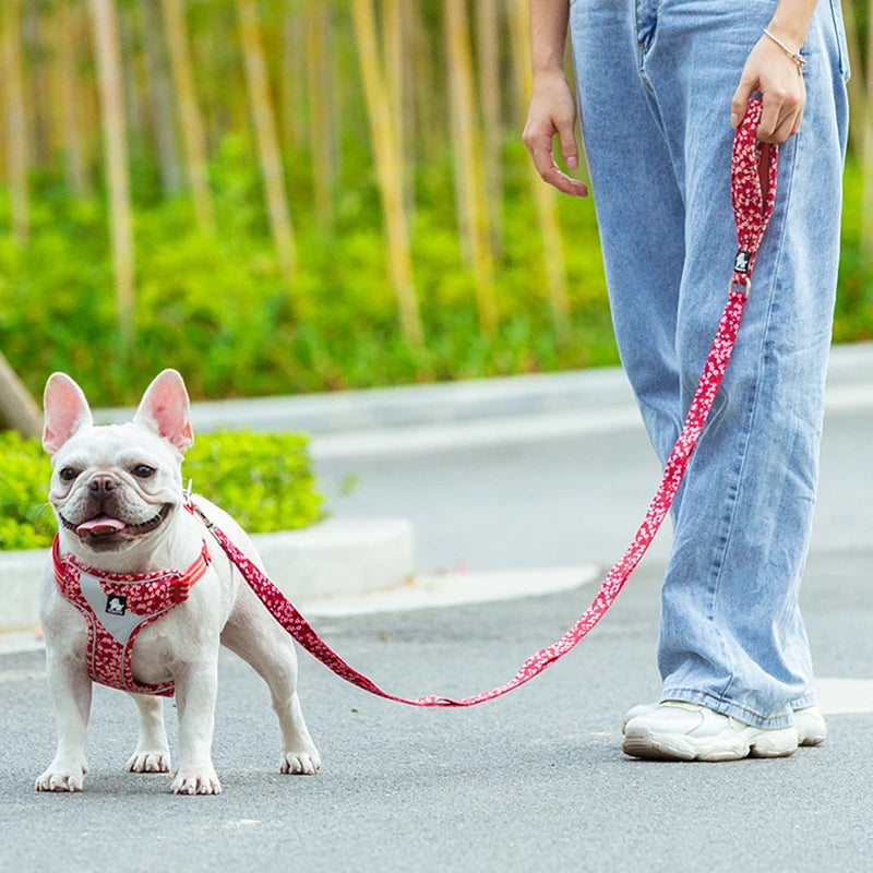 Truelove Nylon Double Handle Padded Dog Leash - Red