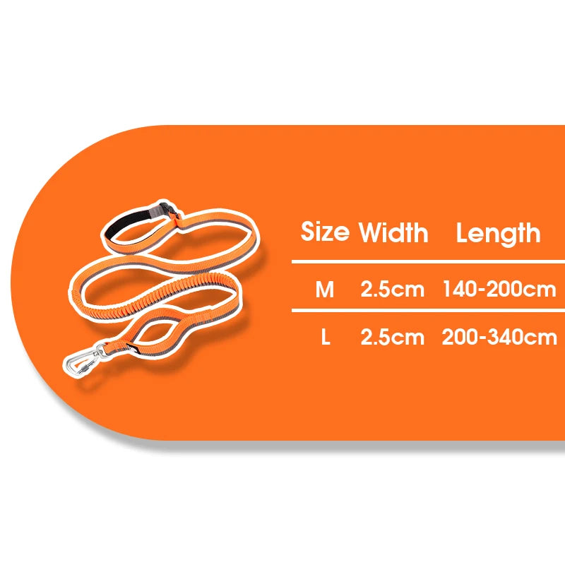 Truelove Running Bungee Dog Leash image 9