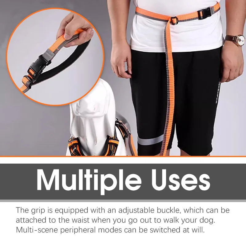 Truelove Running Bungee Dog Leash - Black