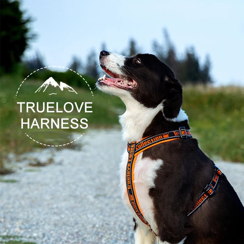 Truelove TLH6371 Reflective No Pull Dog Harness - Black Red