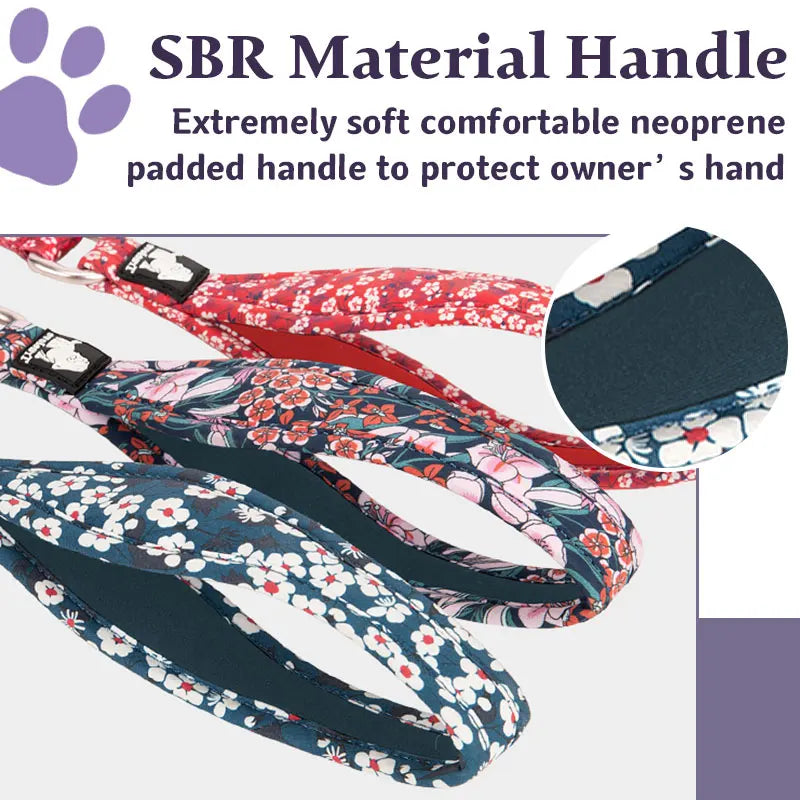 Truelove Nylon Double Handle Padded Dog Leash - Blue Red