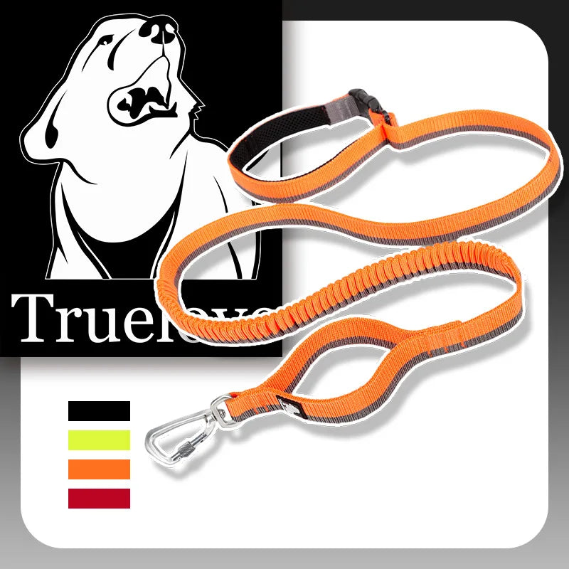 Truelove Running Bungee Dog Leash - Orange