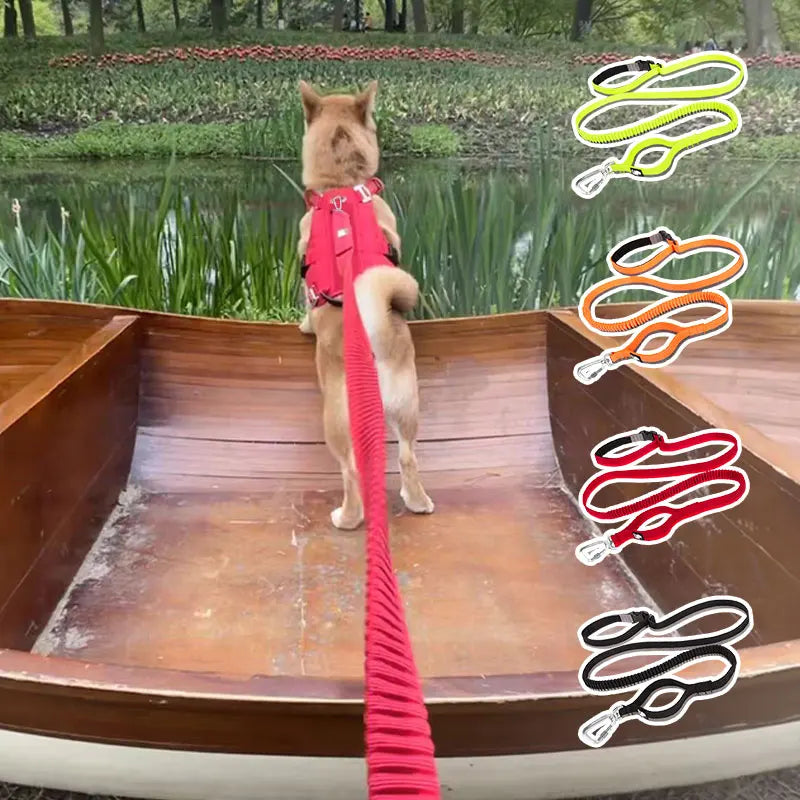 Truelove Running Bungee Dog Leash - Orange