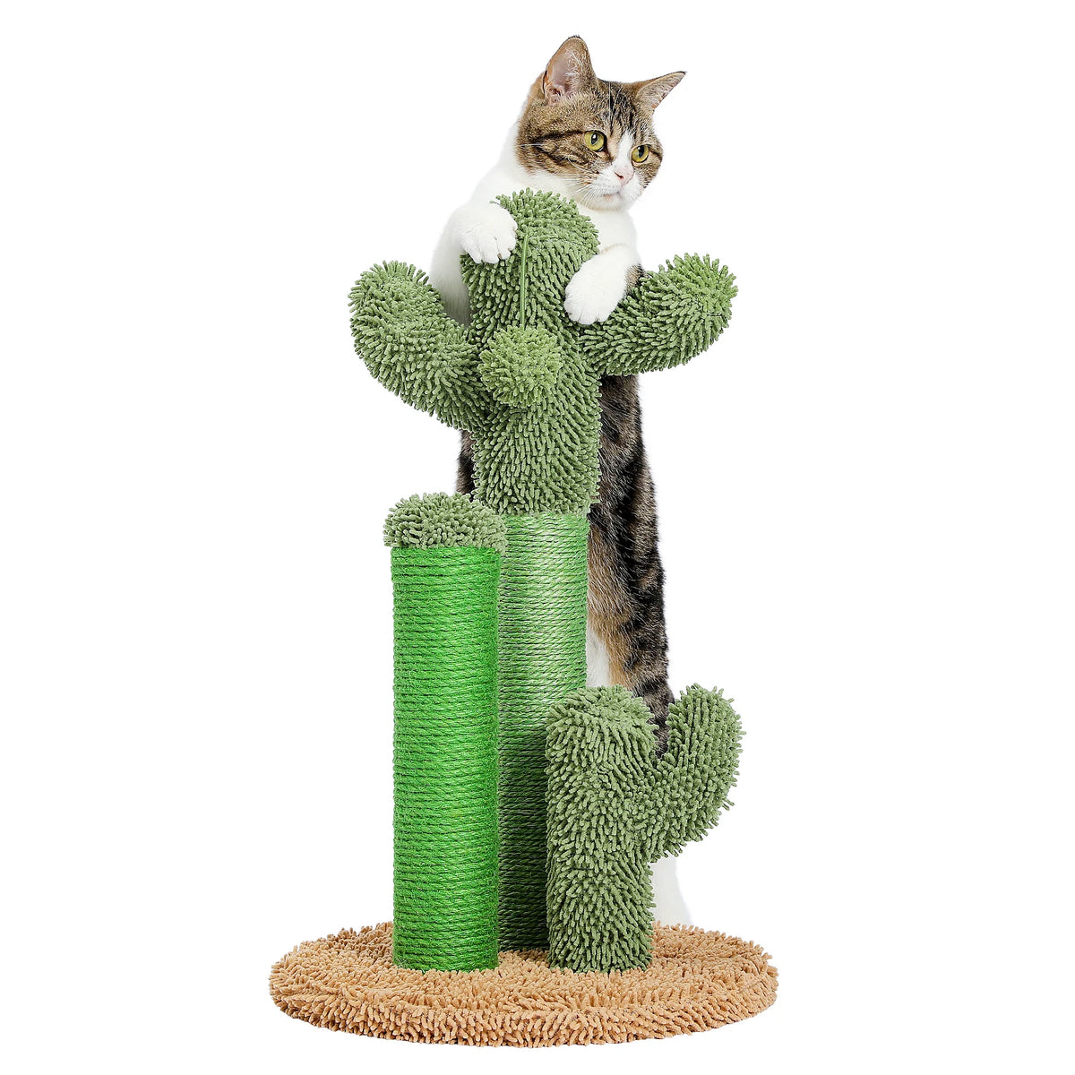 Cactus Cat Scratching Post for Indoor Cats image 20