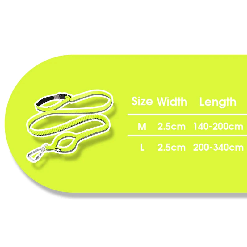 Truelove Running Bungee Dog Leash image 11