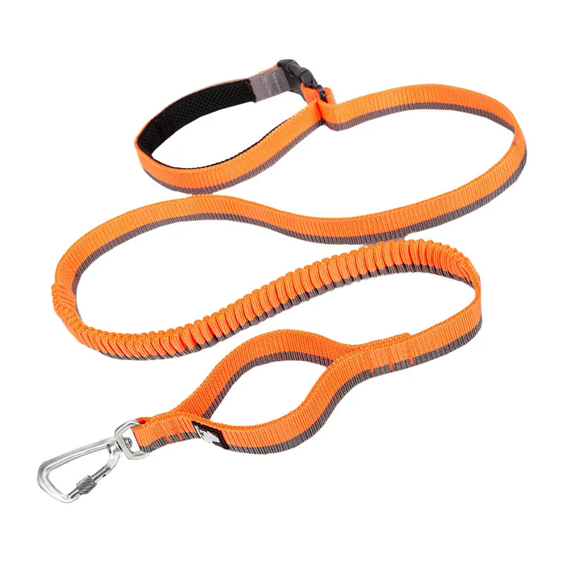 Truelove Running Bungee Dog Leash - Red