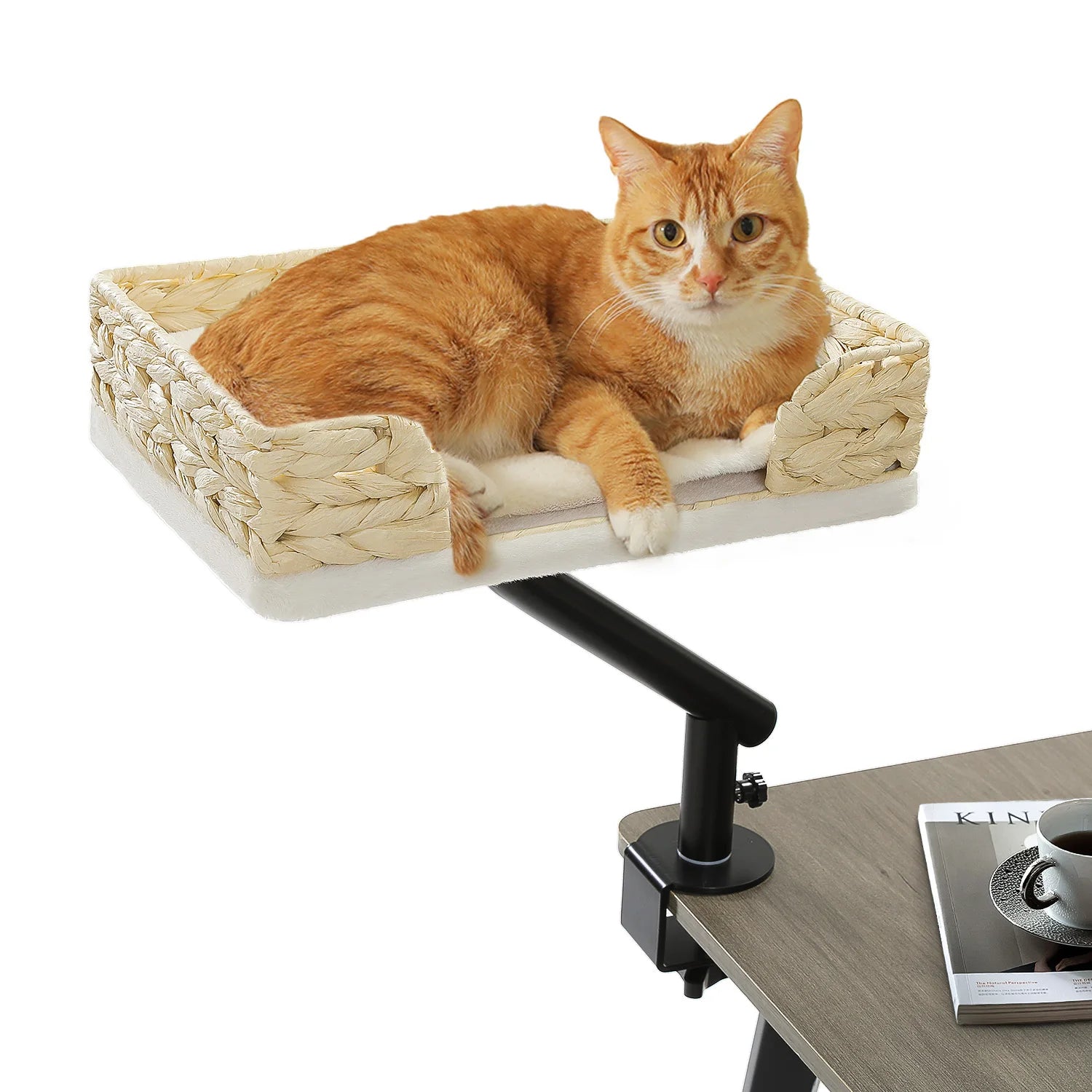 360° Rotatable Cat Desk Bed Stand for Indoor Cats image 24