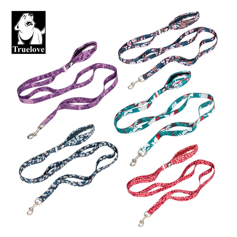 Truelove Nylon Double Handle Padded Dog Leash - Blue