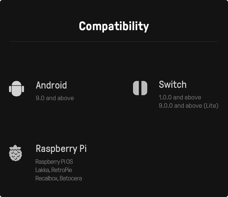 8BitDo Lite 2 Bluetooth Gamepad for Nintendo Switch image 8