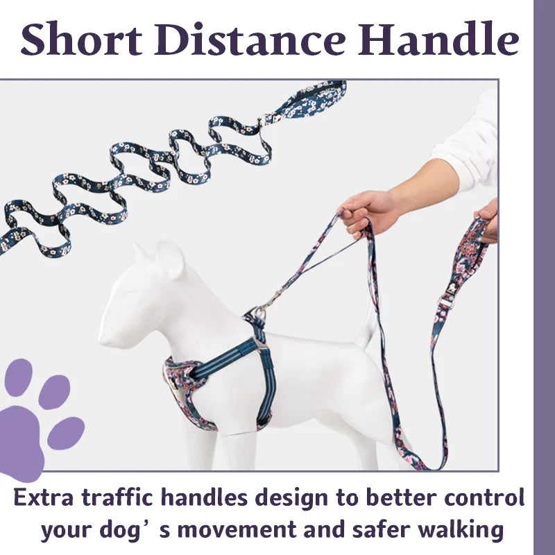 Truelove Nylon Double Handle Padded Dog Leash - Blue Red