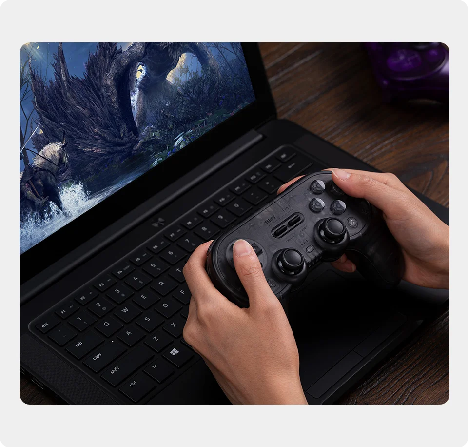 8BitDo Pro 2 Bluetooth Hall Effect Gamepad image 14