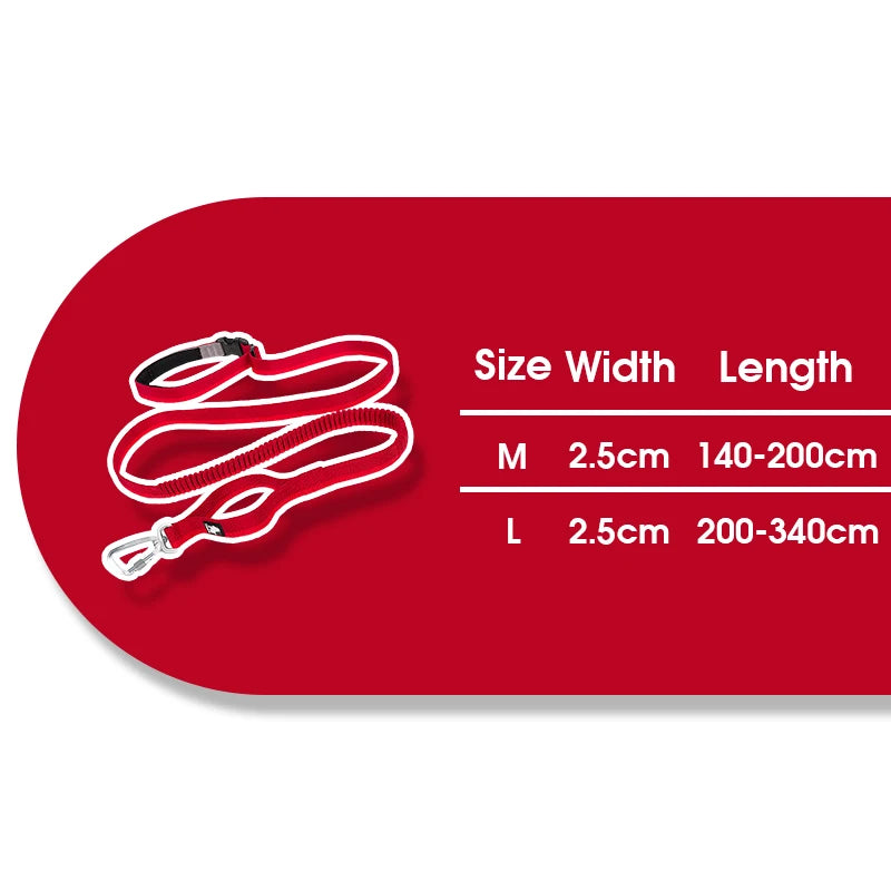 Truelove Running Bungee Dog Leash image 12