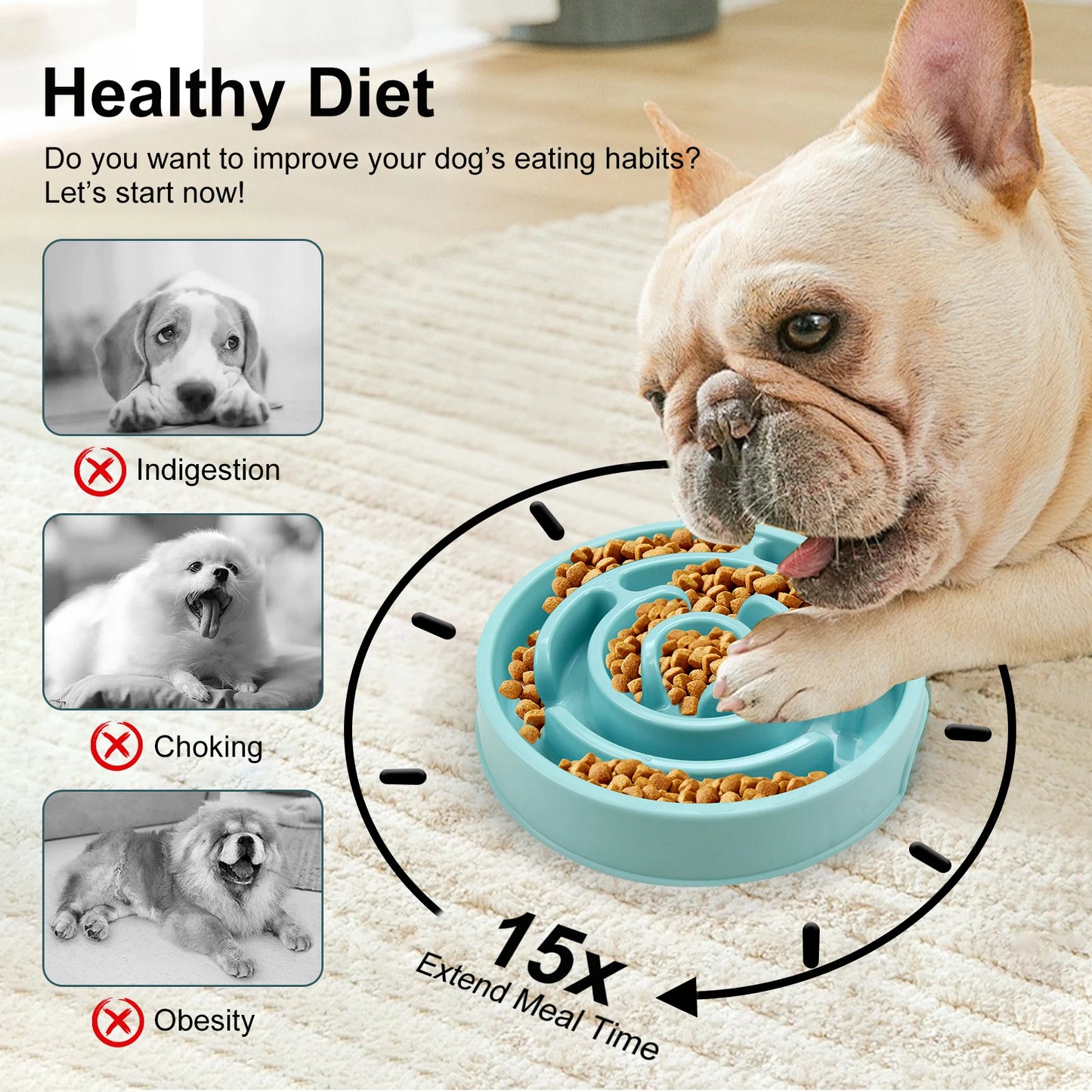 Dog Slow Feeder Bowl – Non-Slip Anti-Gulping Design